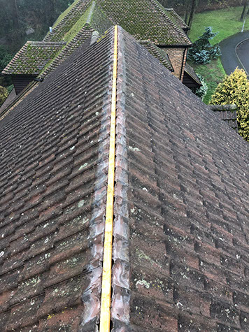 roof repair wokingham